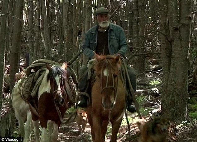 ����81�����̶�����ɽ46��