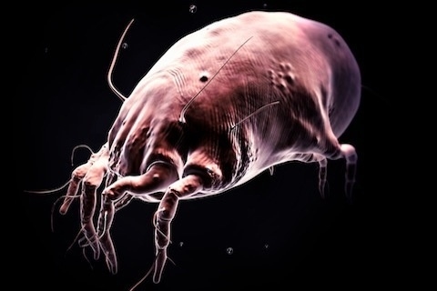 ��̾������ҽѧ3D������ͼ ����ͼƬ