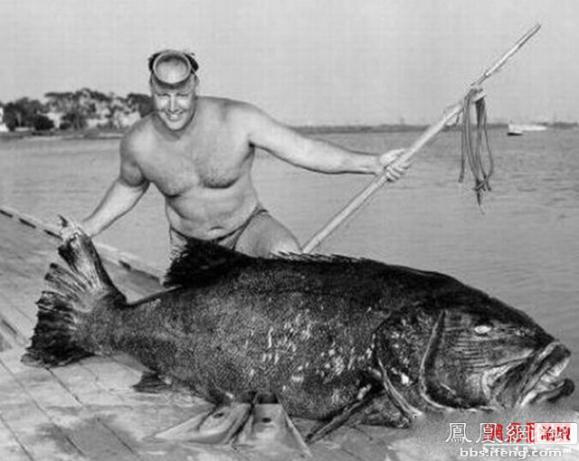 �����𾪵ľ������� �����������Ȥͼ��