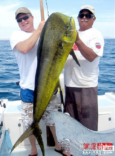 �����𾪵ľ������� �����������Ȥͼ��