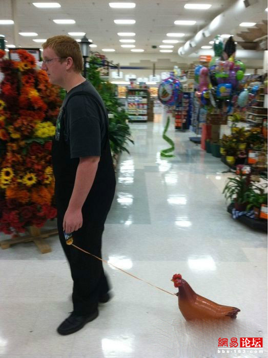 �̵㿴����Լ�е�ţ��ţͼ ��ЦͼƬ