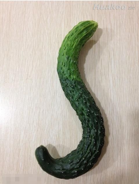 ���ֶ�� �����������Ķ����� ��ЦͼƬ