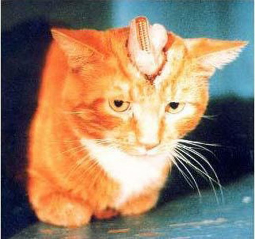 ���أ��Ҳ��̶õĶ���ʵ�����Ƭ��ͼ��