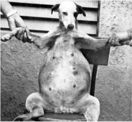 ���أ��Ҳ��̶õĶ���ʵ�����Ƭ��ͼ��