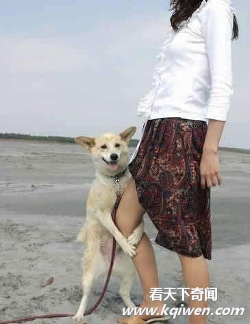 �������󵨵�ɫ������Ĺ����ֵ��ڷ���Ů��