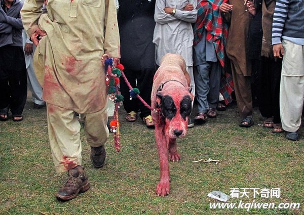 ʵ�Ķ�����Ȥ˲�䣬�ȷ���