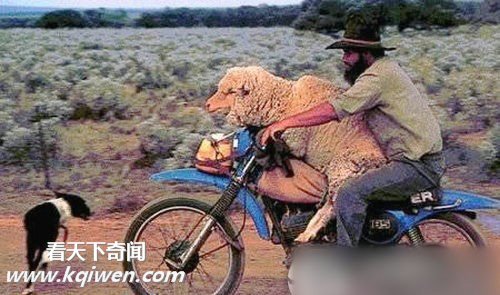 ���޸��ص�Ħ�г�ǿ�� ����Ц����(��ͼ)