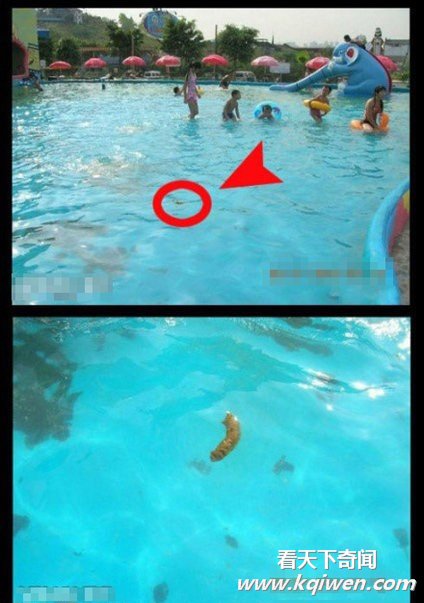 ������һ���������Ҷ��ĵĿ�ͼ��(��ͼ)