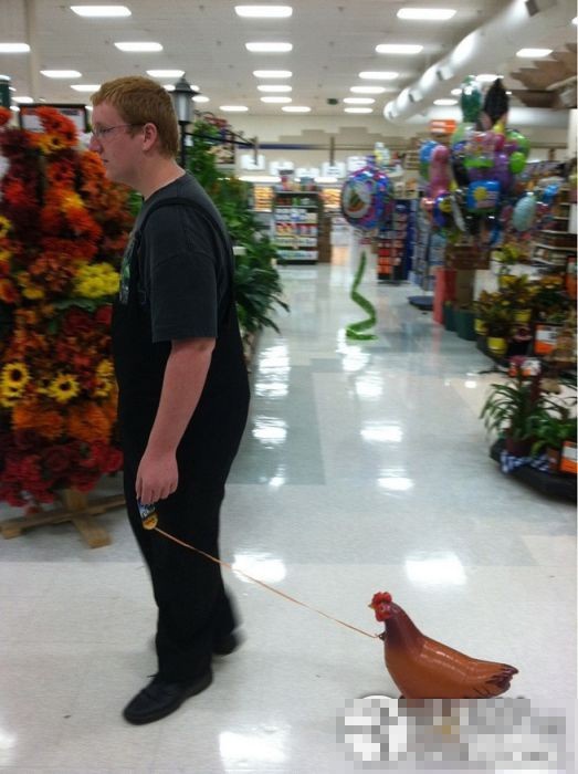 ������Լ�е�ţ��ţͼ