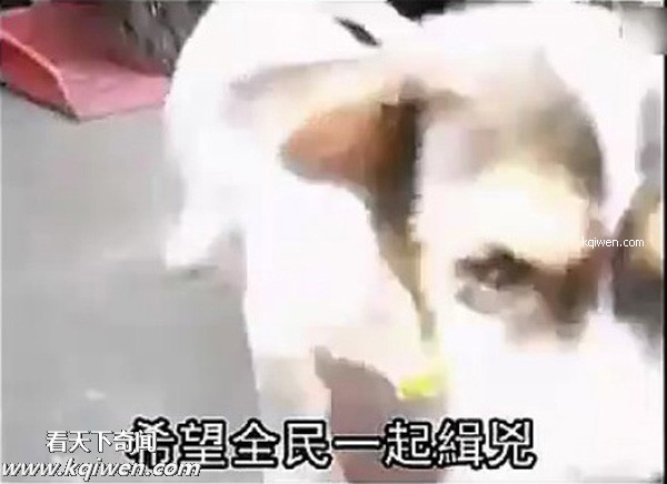 ��ɫС�������컯�����Ｆ(��ͼ)