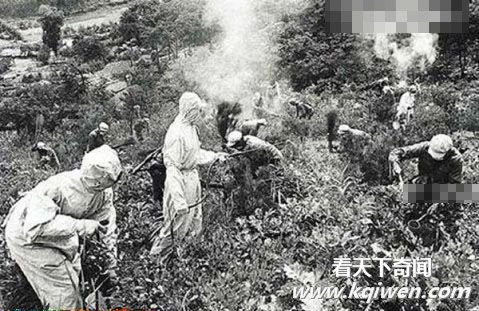 �ҿ�����Ԯ���еķ�ϸ��ս(��ͼ)