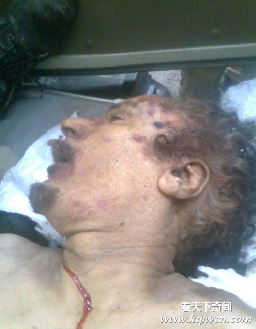 �ع⿨���Ʊ���ʱ�⼦�� �����Ӻ�������Ű(��ͼ)